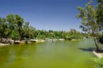 Gorgeous Bay Area Picnic Spots Vagrants Of The World Travel