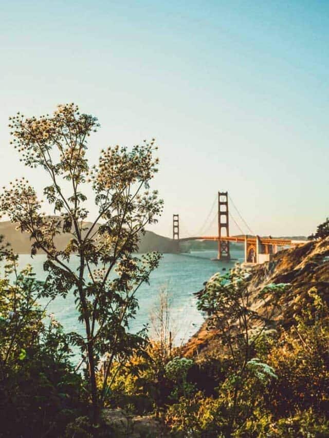 Gorgeous Bay Area Picnic Spots Story Vagrants Of The World Travel