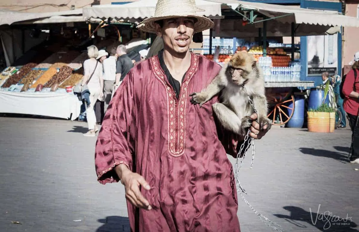 Man with monkey in Jemaa el-Fnaa Marrakech Morocco. Is Morrocco safe. Beware of pickpockets in Marrakesh Beware of scammers in Marrakesh.