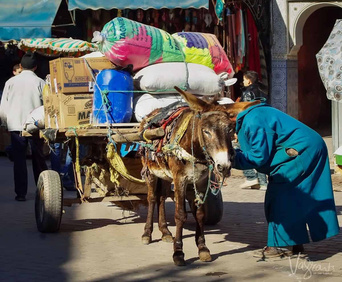 Donkey and overloaded cart in Marrakech Souk Morocco. Best free things to see and do in Marrakech Morocco