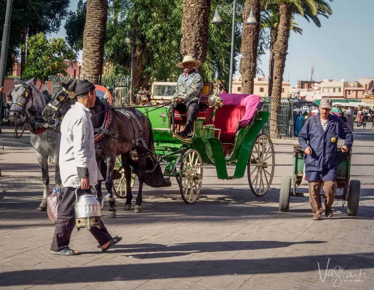 Free things to do in Marrakech. Explore the Jemaa el-Fnaa