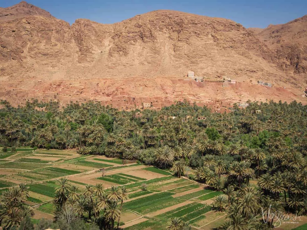 Mountains and green fields in Ouarzazate Morocco. You will enjoy this scenery on your moroccan road trip.