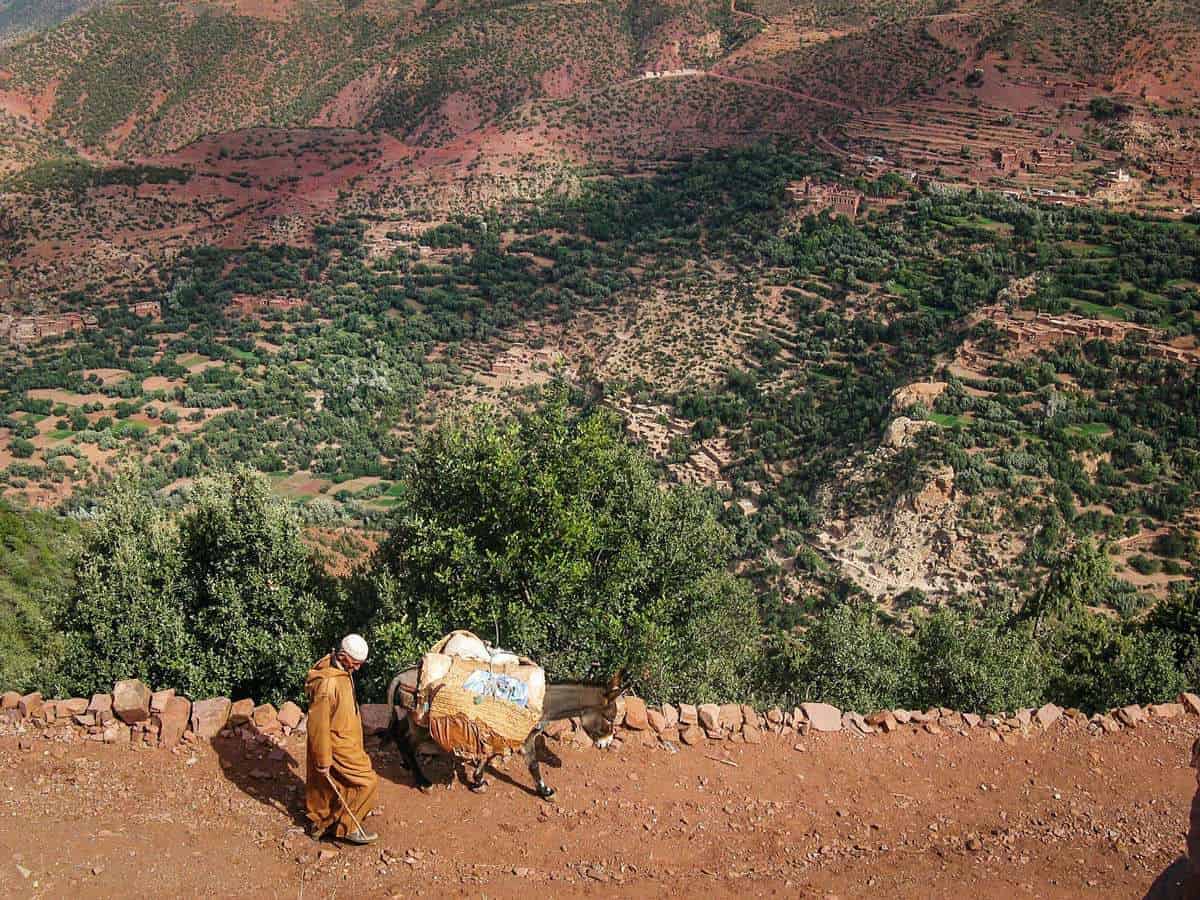 moroccan road trip, Marrakech to Fez - Man with donkey in the Atlas Mountains Morocco