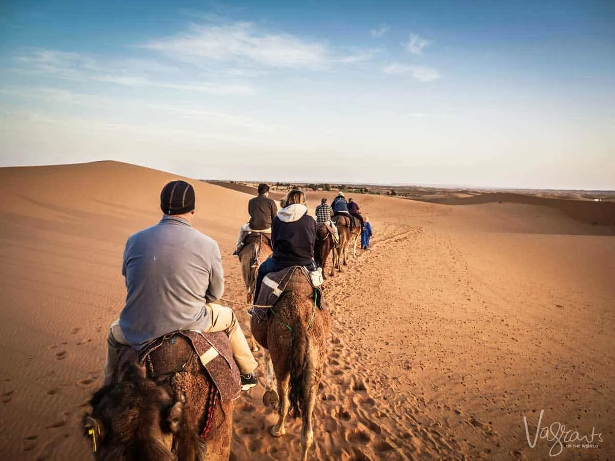 Tourists riding camels in Morocco