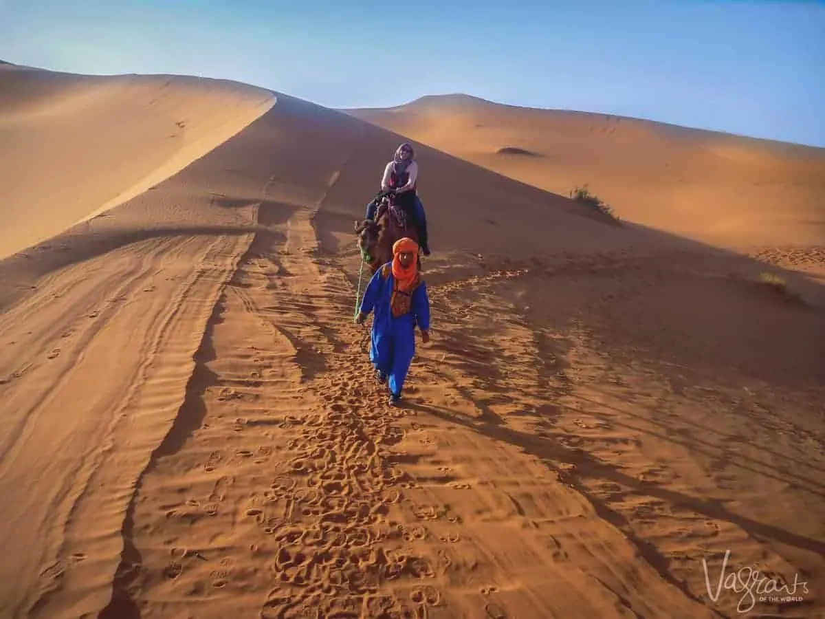 Camel trekking in Morocco