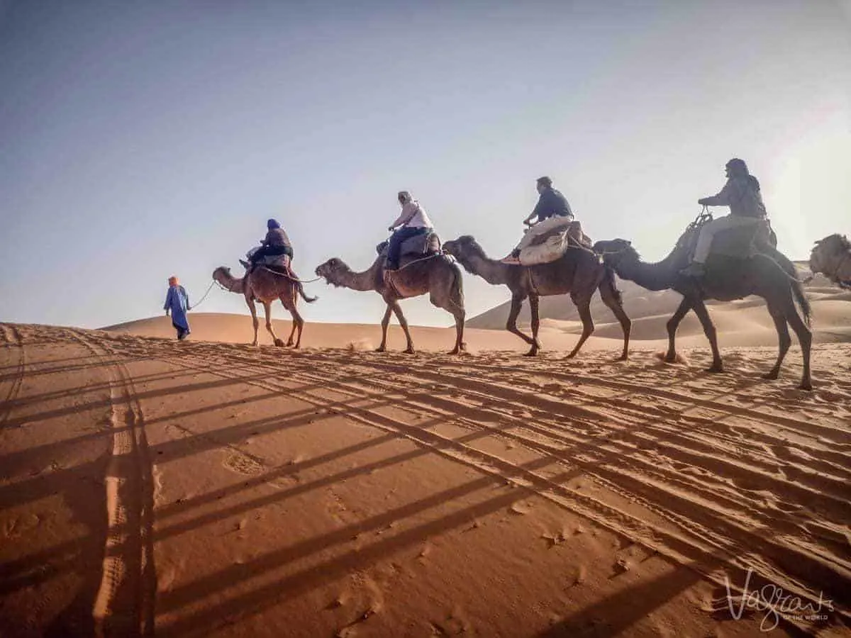 Camel trekking in Morocco