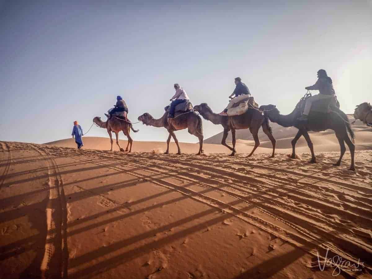 Sahara Desert  people riding camels