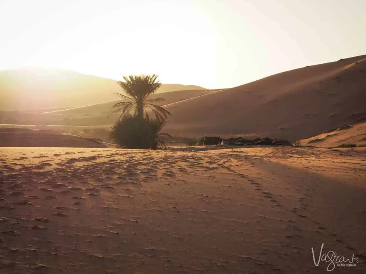 Camel Trekking in Morocco