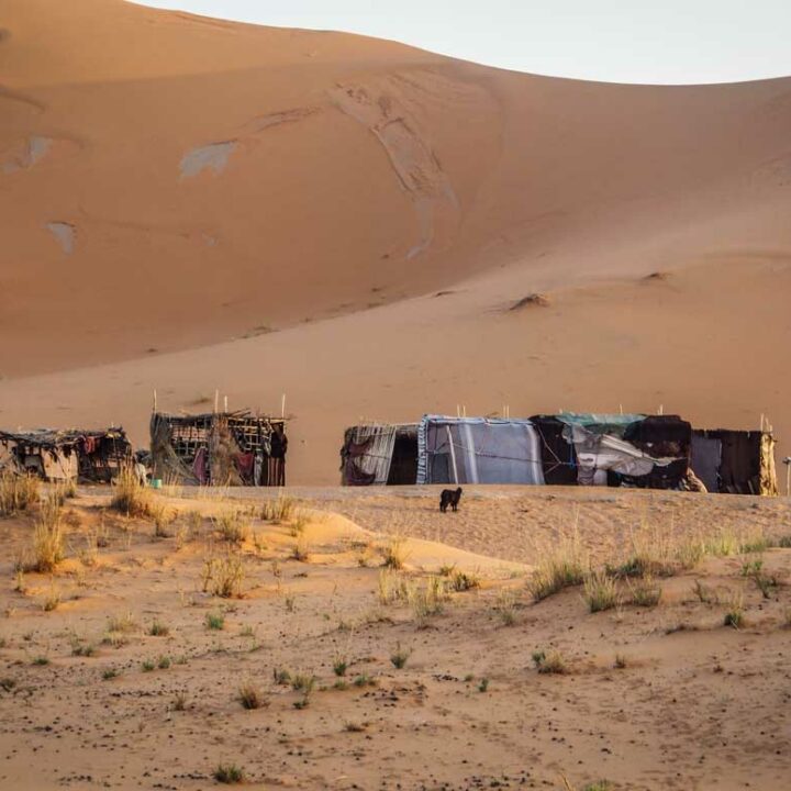 Sahara Desert Tours - Camel trekking in Morocco