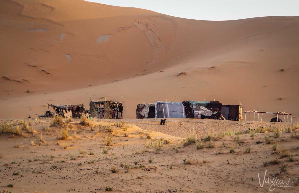 Sahara Desert Tents