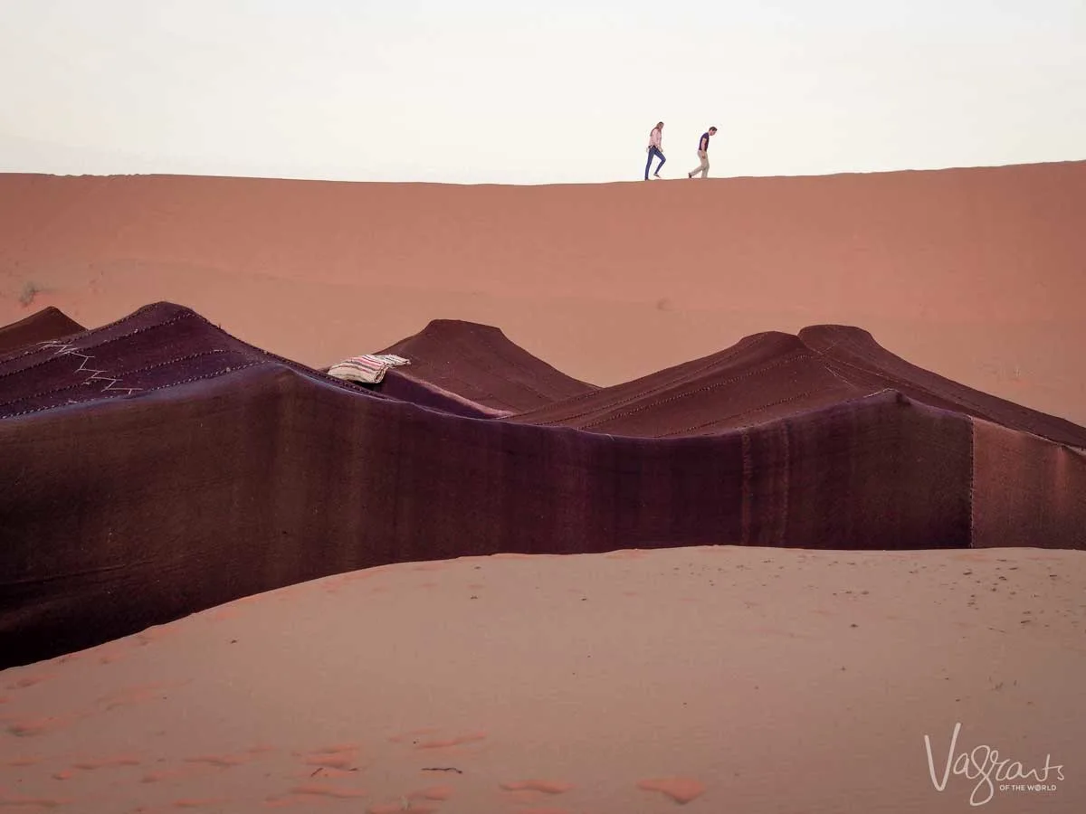 Sahara Desert Tours - Camel trekking in Morocco