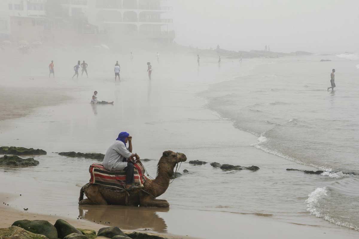 Camel rides on the beach in Tangier Morocco