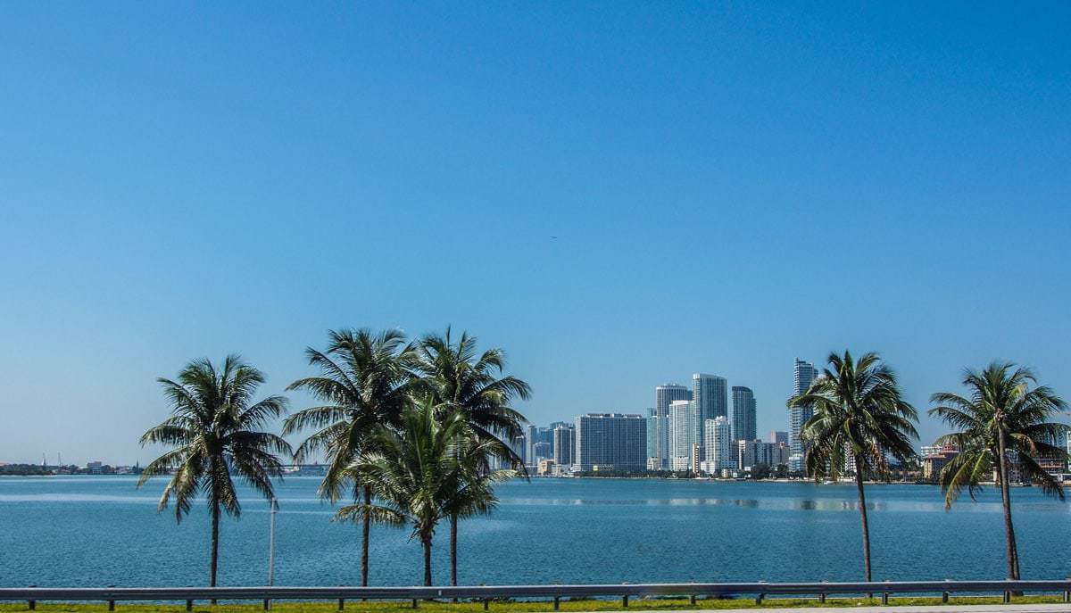 Palm trees, high rise buildings and blue water in Miami Beach