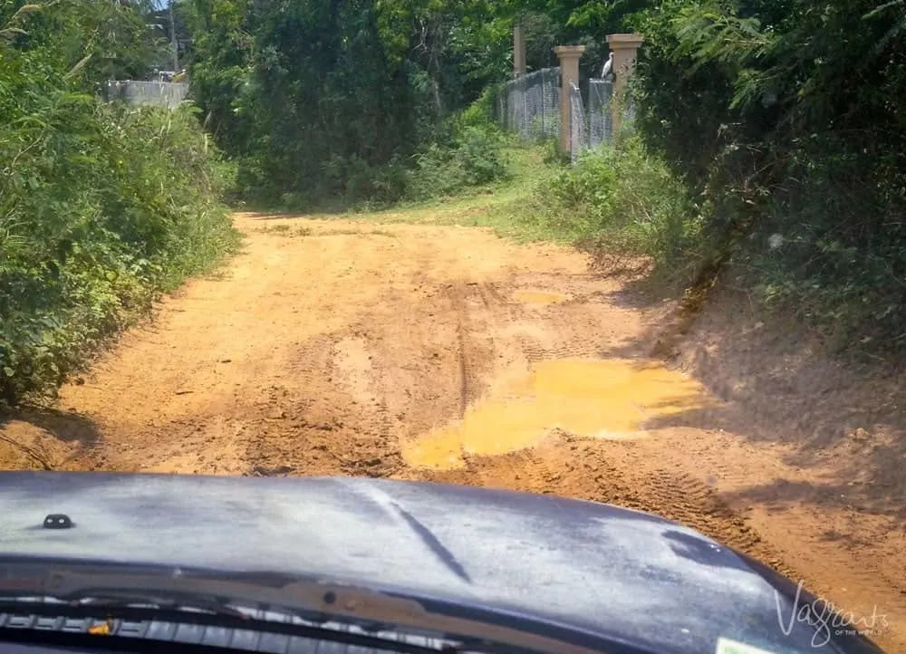 Vieques roads