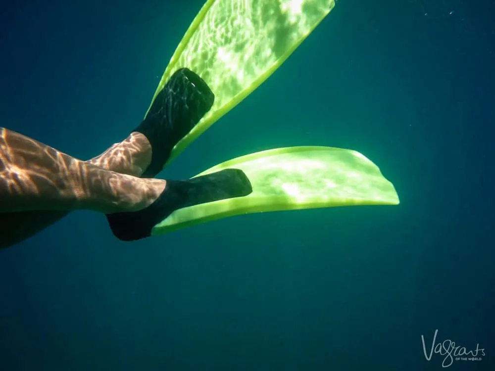 Snorkelling on Vieques Island