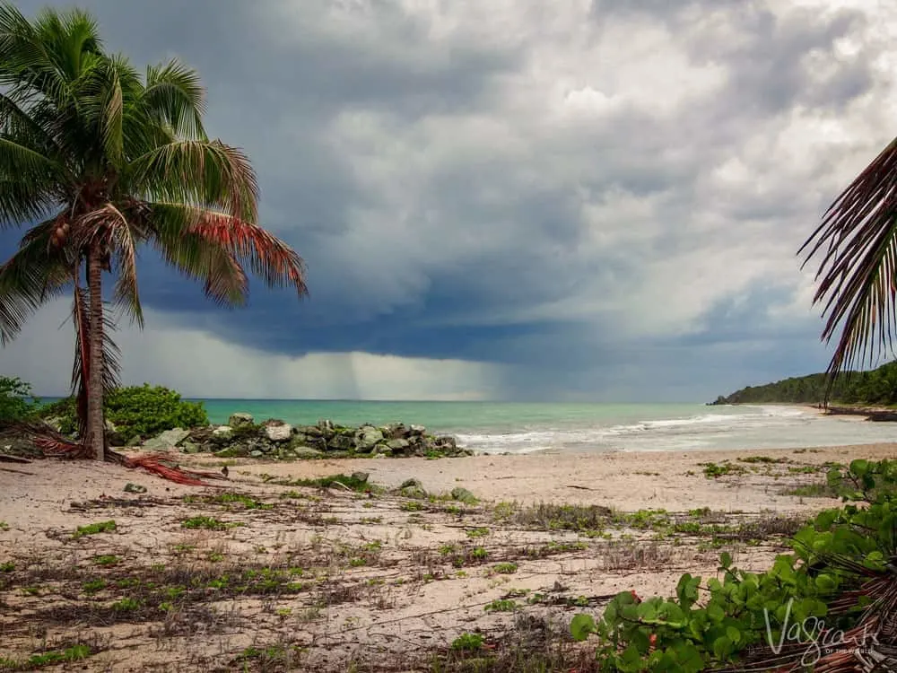 Vieques Island Beach photo