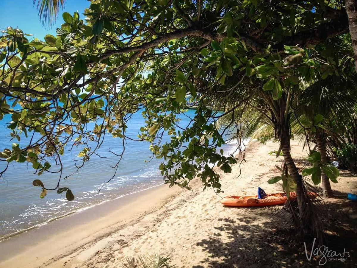 Vieques Island Beach photo