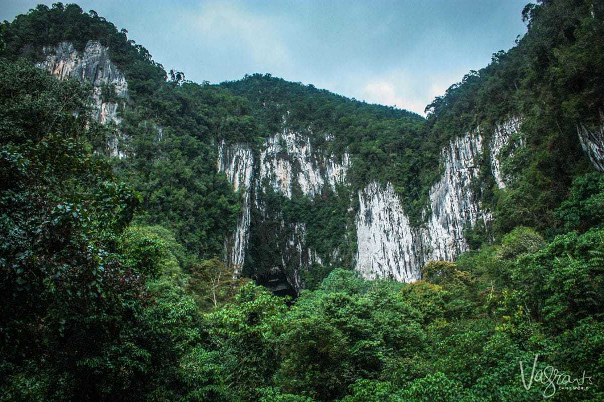 Gunung Mulu National Park, Borneo