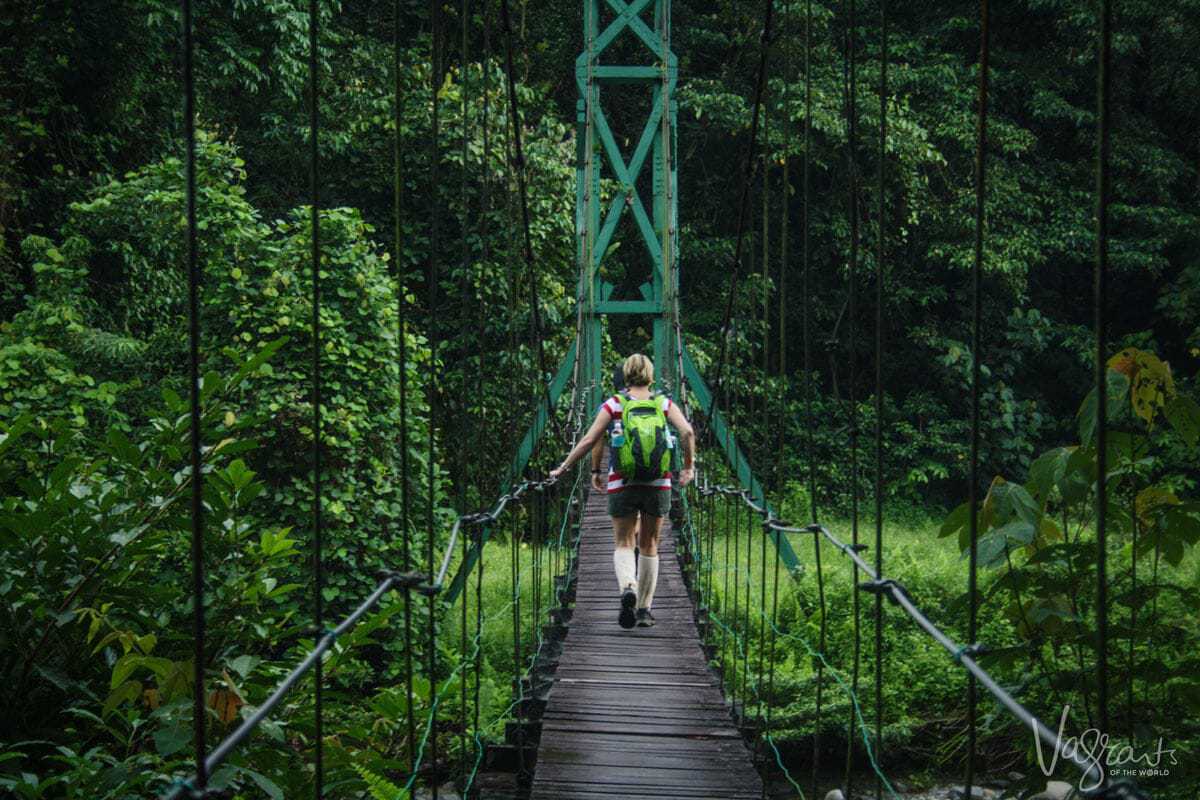 The Head Hunters Trail-Gunung Mulu National Park, Borneo