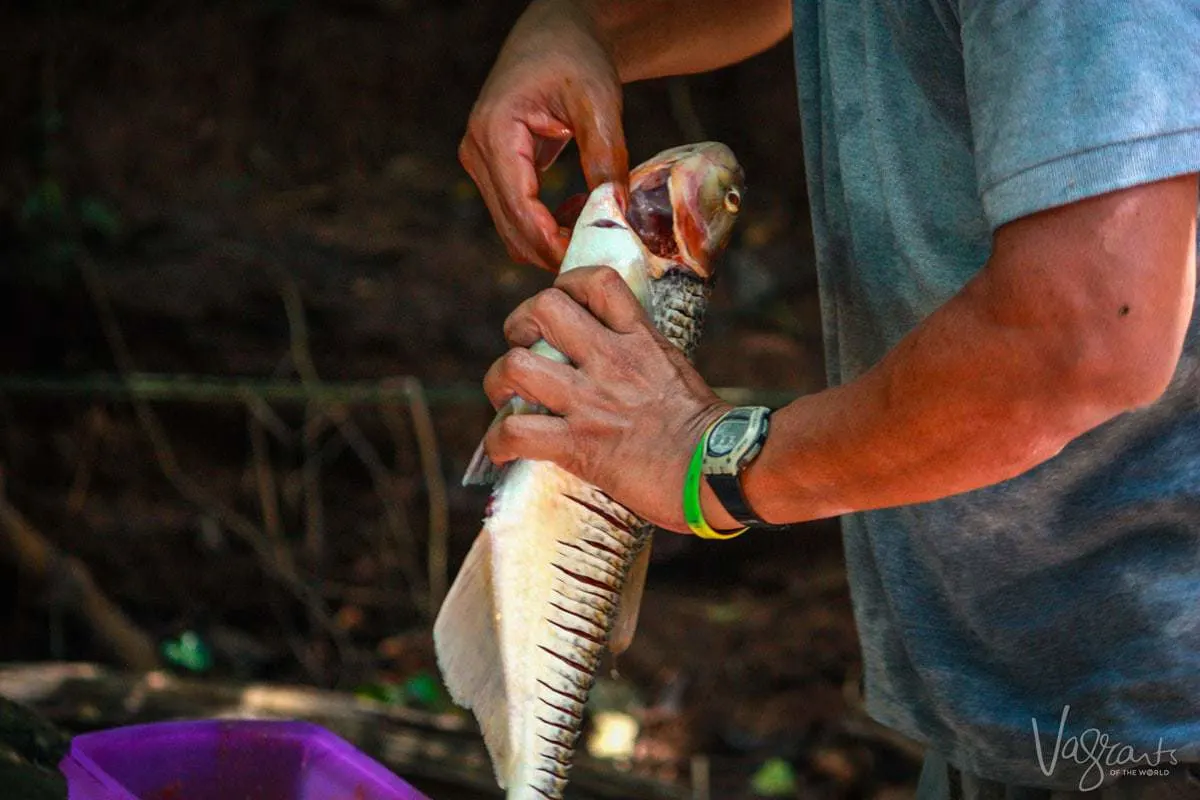 Rio San Juan Tours Nicaragua