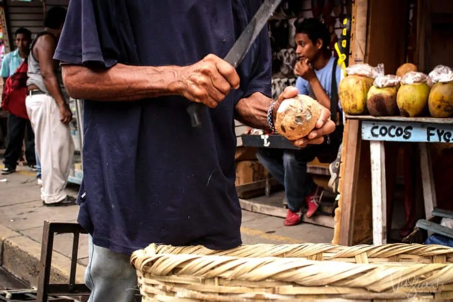 Things to do in Granada - Visit the Granada Central Markets