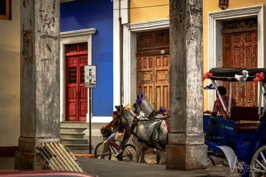Things to do in Granada Nicaragua - Take a ride on a horse drawn cart