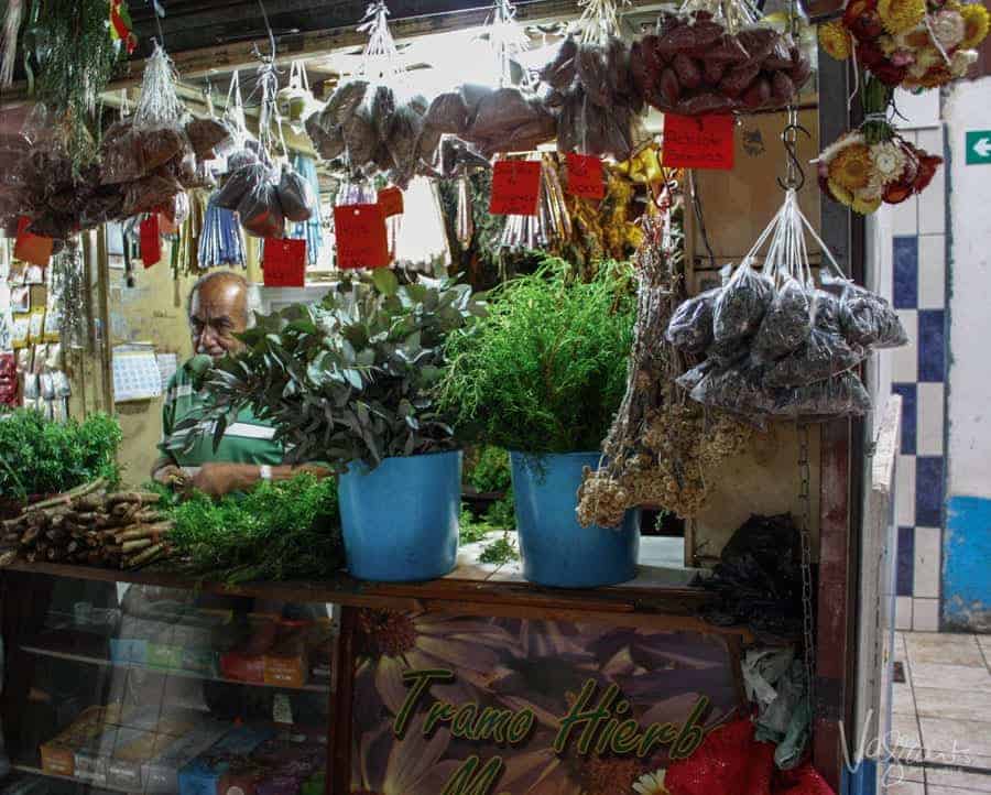 A man standing behind hanging herbs in the Central Markets in San Jose.