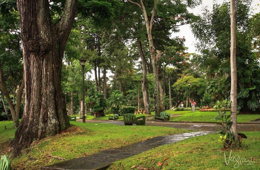 The lush green gardens in Central Park in San Jose.