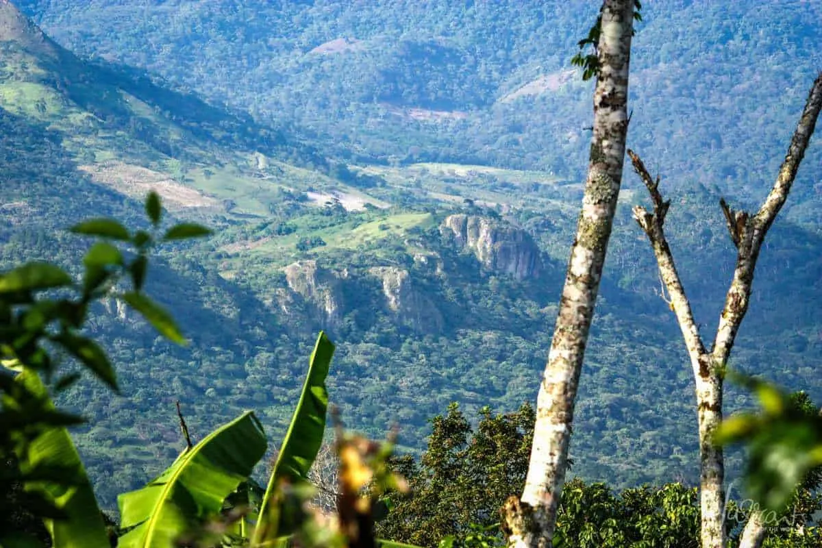 Matagalpa Nicaragua's Coffe Country