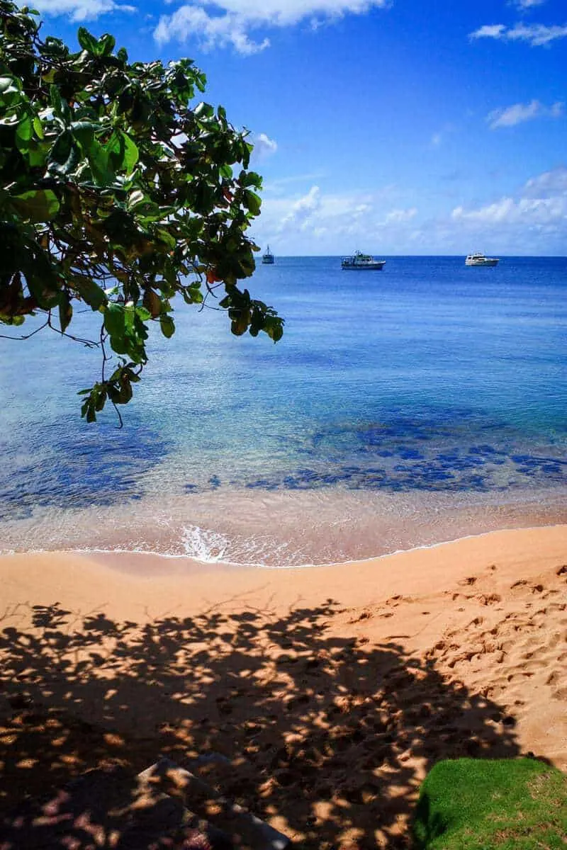 The Corn Islands beach at midday