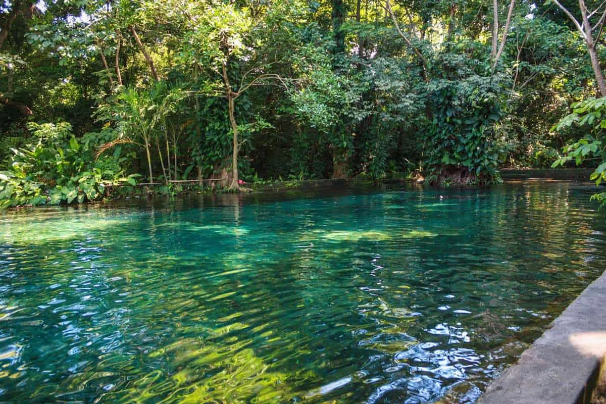 Ojo de Agua, Ometepe Island Nicaragua