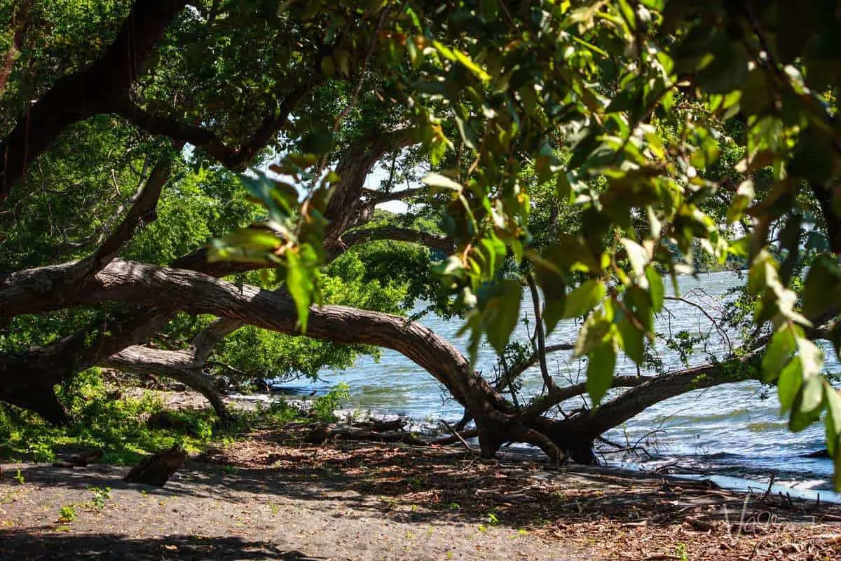 Charco Verde, Ometepe Island Nicaragua