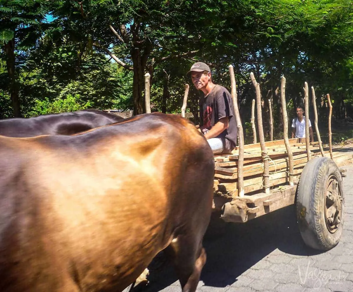 Ometepe Island Nicaragua