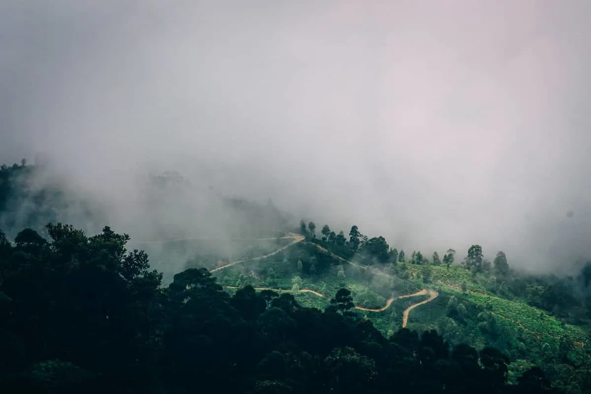 Sri Lanka Tea Plantations