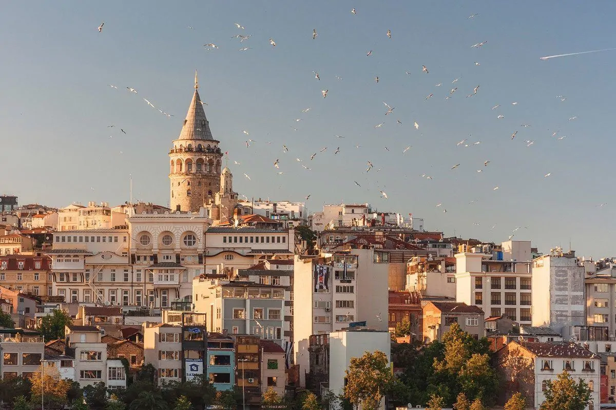 A large flock of birds flying around  in front of the Galata Tower on a clear day.