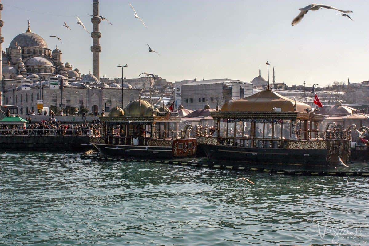 Ornate boats moored on the Bosphorus river with seagulls flocking around them. The Blue Mosque is in the distance.  