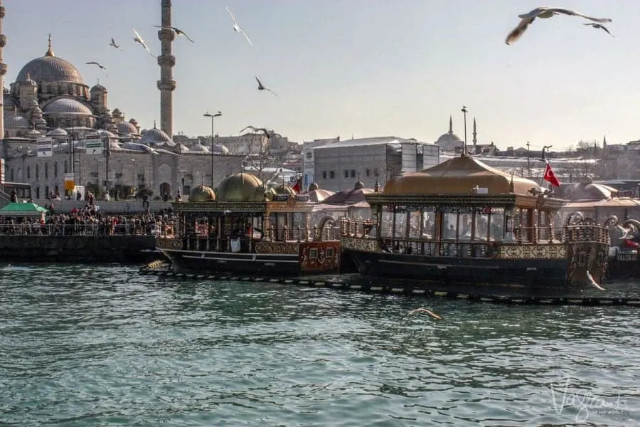 Ornate traditional boats with golden domed roofs floating on the Bosphorus river with seagulls flying above. 