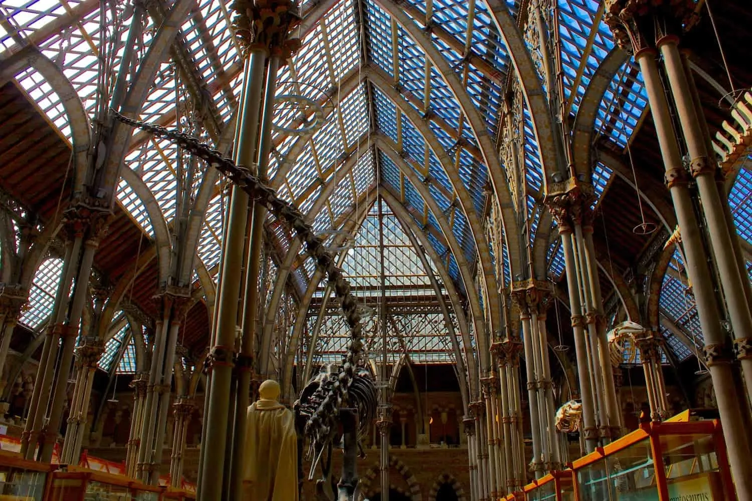 Museum Of Natural History Oxford