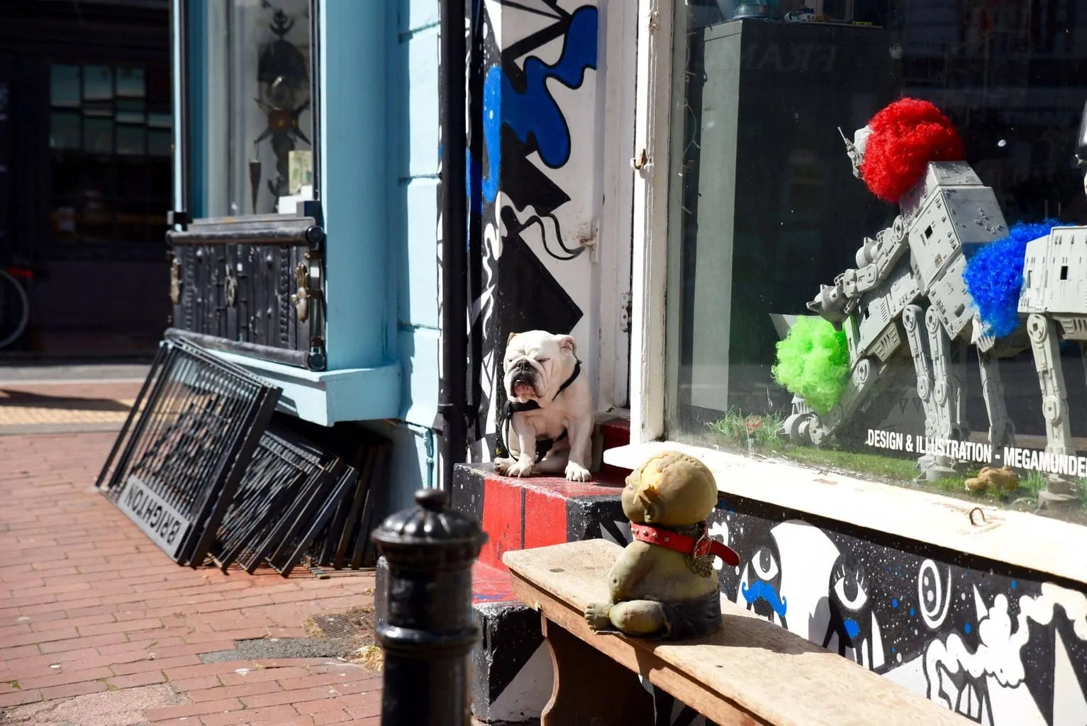 Dog on a bench in The Laines, Brighton England