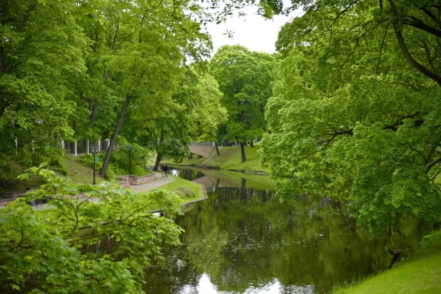 Green trees flowing into lake in park in Riga. so much to see and do in Riga