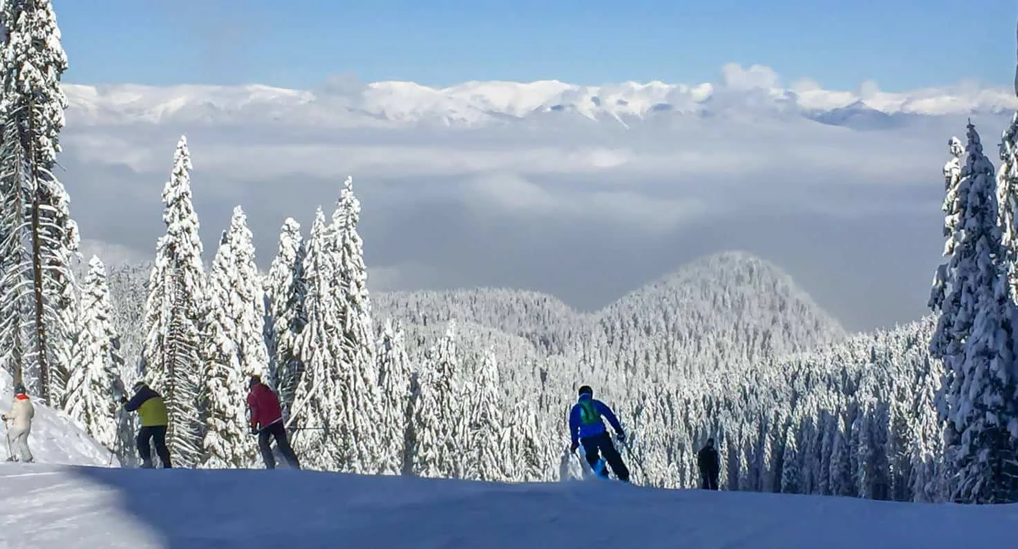 people skiing on a mountain top with snow covered fir trees.