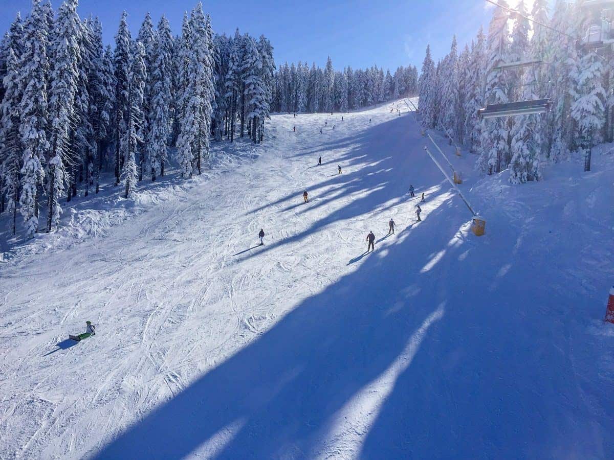 Skiers on a sunlit tree-lined piste at Bansko during a Bulgarian ski holiday