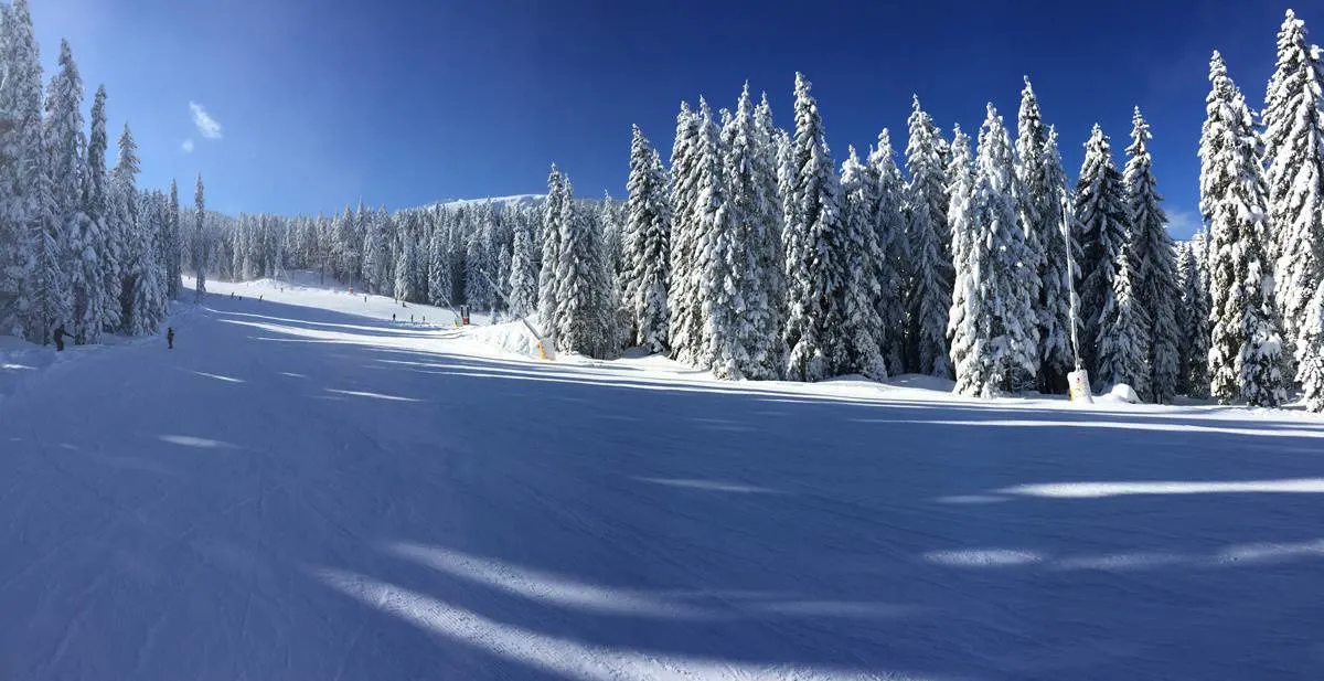 Skiing holidays In Bulgaria