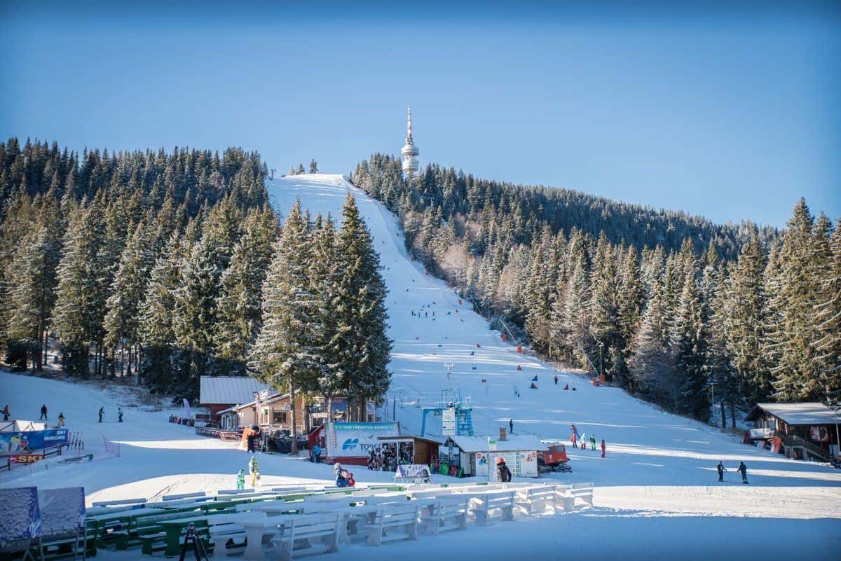 A wide piste cut through pine forest at Pamporovo ski resort in Bulgaria