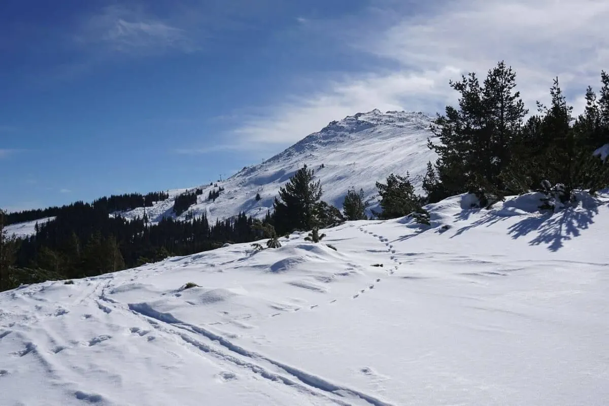 The bare wind-scoured ridge above the treeline at Borovets ski resort in Bulgaria