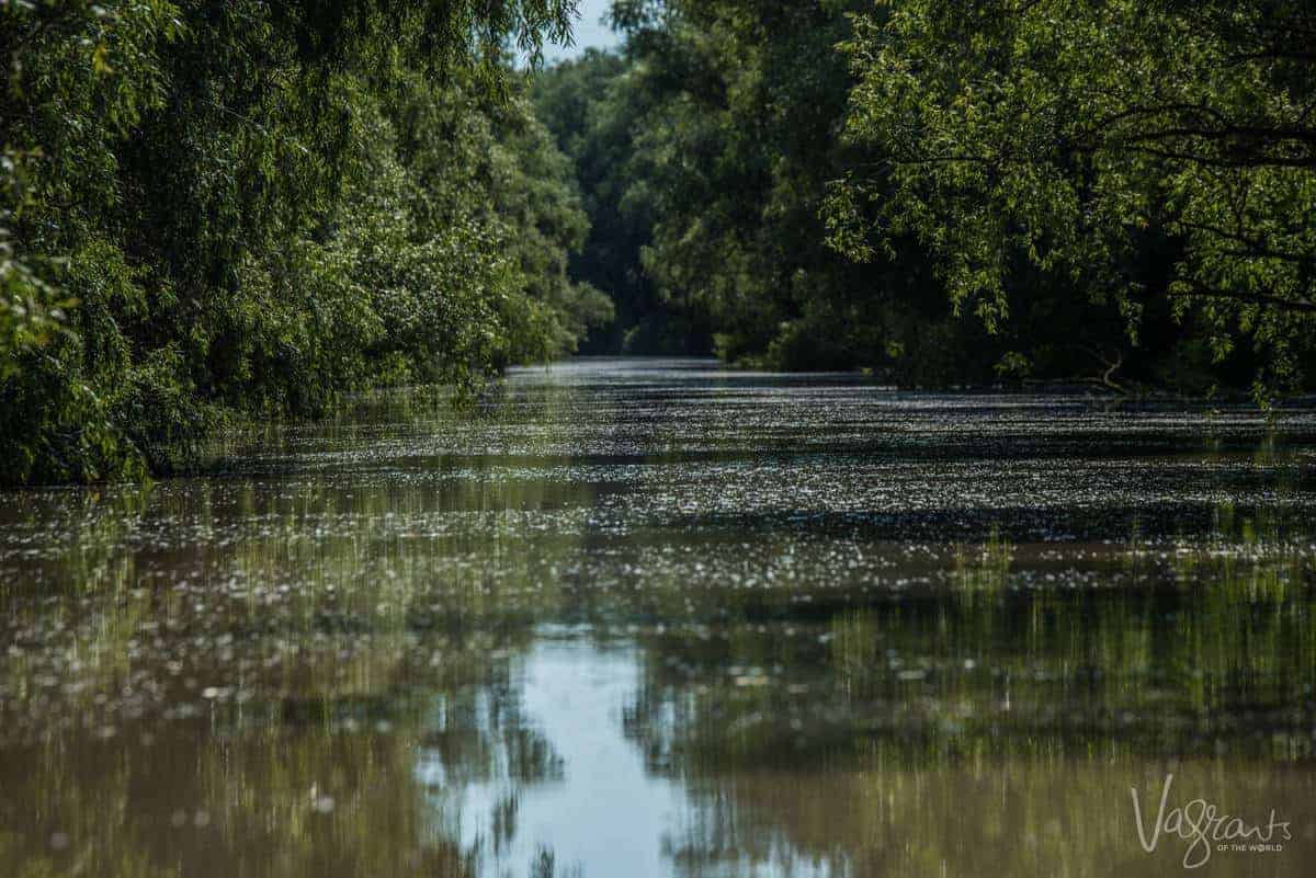 Danube Delta Romania