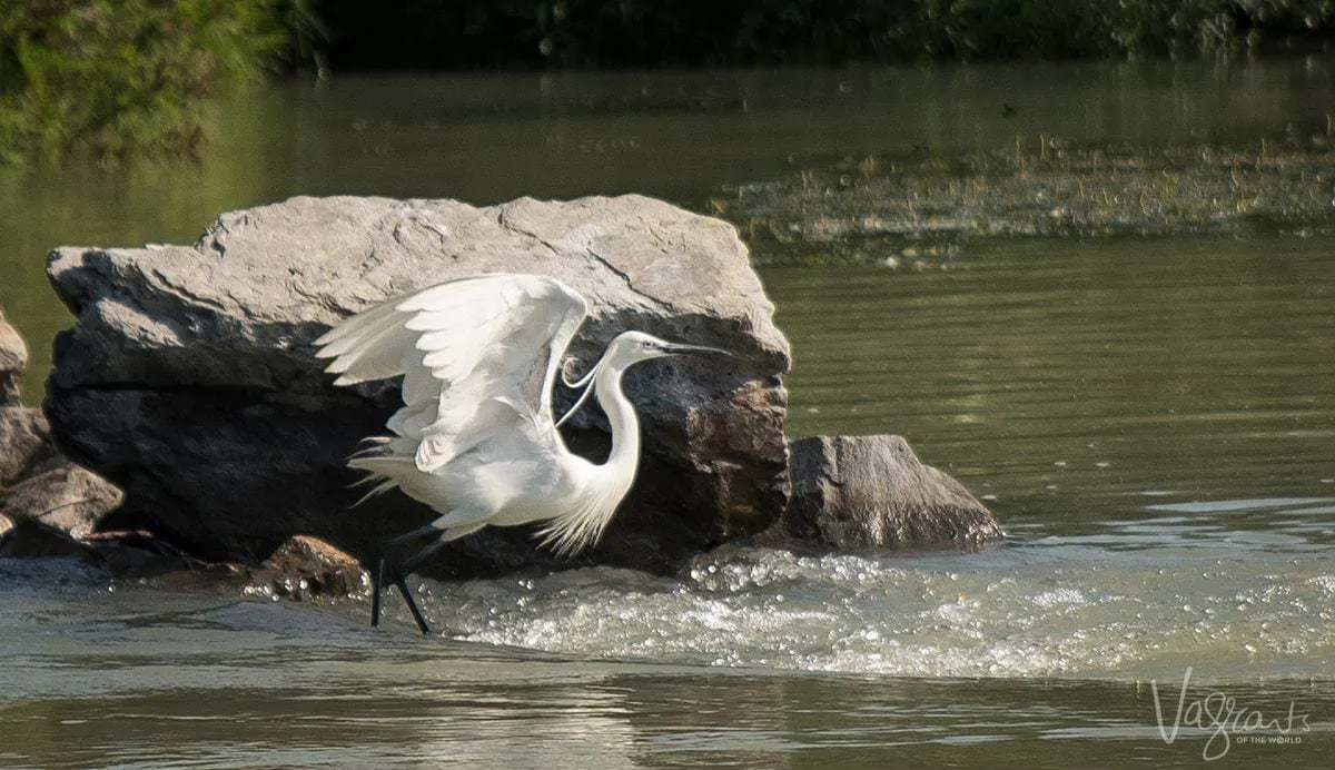 Danube Delta Romania