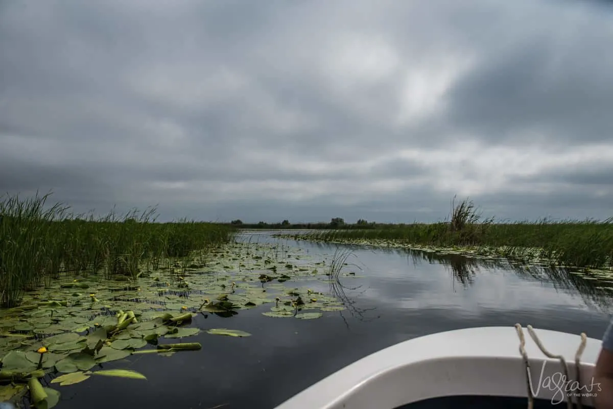 Danube Delta Romania