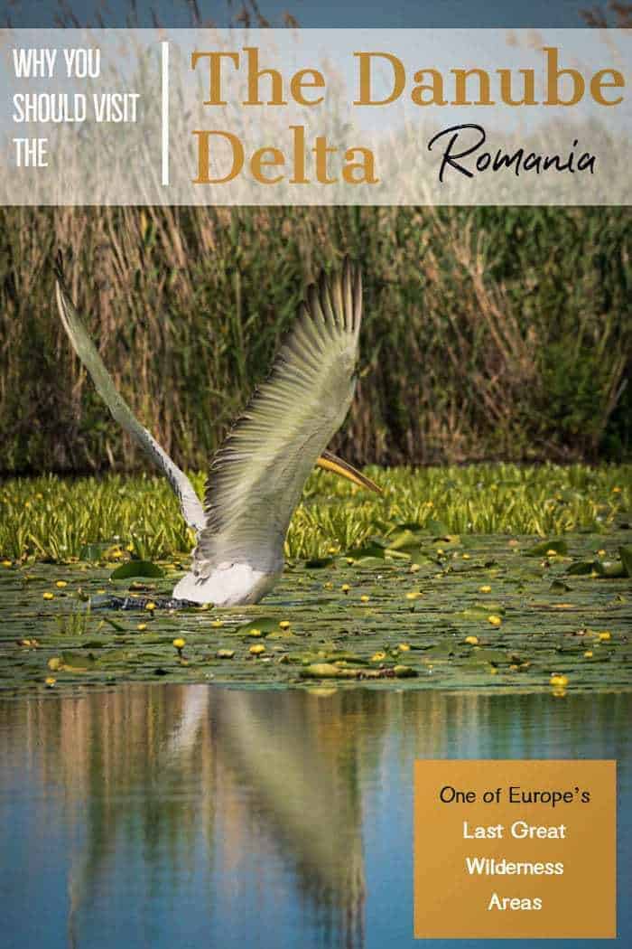 Visiting the Danube Delta Romania | Guide to the Danube Delta | #romania #danube #danubedelta