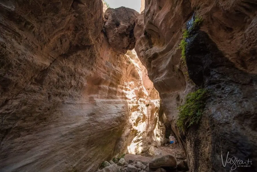 The Best of Cyprus - Avakas Gorge Akamas National Park